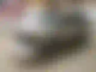 Vehicle Image- 2008 Dodge Durango