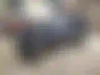 Vehicle Image- 2007 Dodge Durango