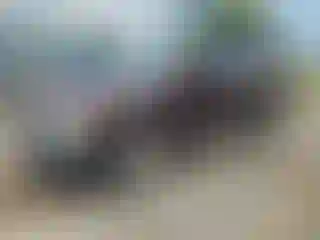 Vehicle Image- 2005 Dodge Durango