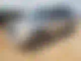 Vehicle Image- 2005 Dodge Durango