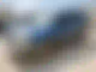 Vehicle Image- 2008 Dodge Durango
