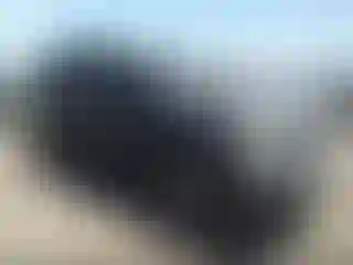 Vehicle Image- 2009 Dodge Durango