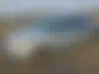 Vehicle Image- 2009 Dodge Caravan