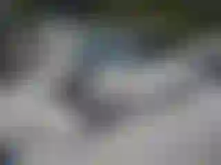 Vehicle Image- 2008 Dodge Caravan