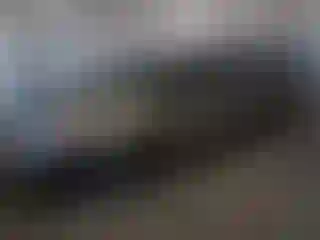 Vehicle Image- 2008 Dodge Caravan