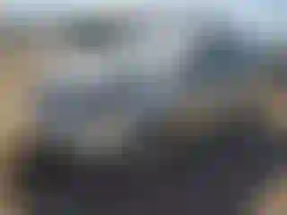 Vehicle Image- 2008 Dodge Caravan