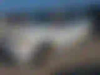 Vehicle Image- 2008 Dodge Caravan