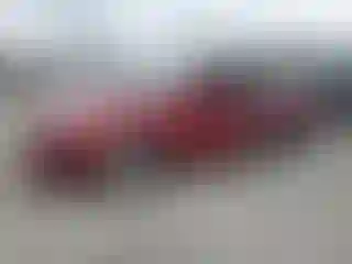Vehicle Image- 2014 Ford Fusion