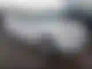 Vehicle Image- 2016 Ford Fusion