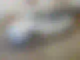 Vehicle Image- 2016 Ford Fusion