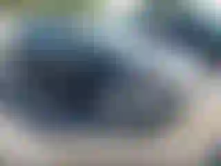 Vehicle Image- 2014 Ford Fusion
