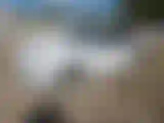 Vehicle Image- 2014 Ford Fusion