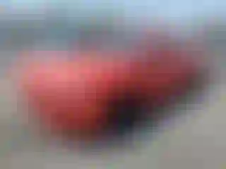 Vehicle Image- 2016 Ford Mustang