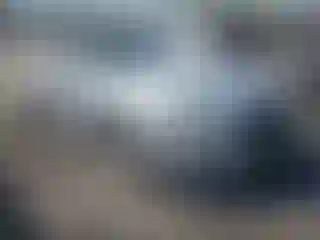 Vehicle Image- 2017 Ford Mustang