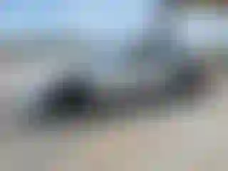 Vehicle Image- 2019 Ford Mustang