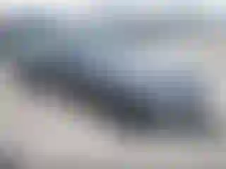 Vehicle Image- 2024 Ford Mustang