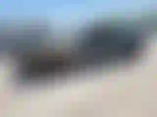 Vehicle Image- 2021 Ford Mustang