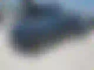 Vehicle Image- 2019 Ford Mustang