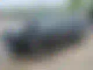 Vehicle Image- 2020 Ford Mustang