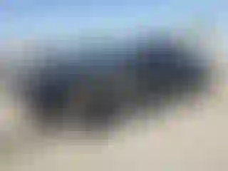 Vehicle Image- 2020 Ford Mustang