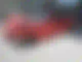 Vehicle Image- 2024 Ford Mustang