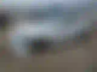 Vehicle Image- 2019 Ford Mustang