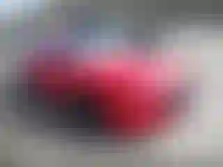 Vehicle Image- 2022 Ford Mustang