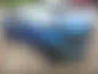 Vehicle Image- 2017 Ford Mustang