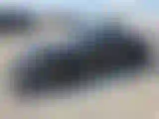 Vehicle Image- 2019 Ford Mustang
