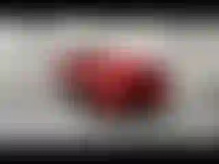 Vehicle Image- 2019 Ford Mustang