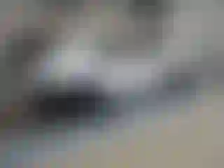Vehicle Image- 2019 Ford Mustang