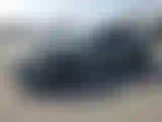 Vehicle Image- 2019 Ford Mustang