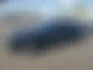 Vehicle Image- 2020 Ford Mustang