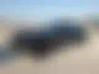 Vehicle Image- 2023 Ford Mustang