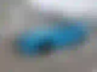 Vehicle Image- 2019 Ford Mustang