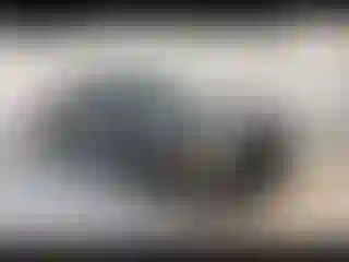 Vehicle Image- 2018 Ford Mustang