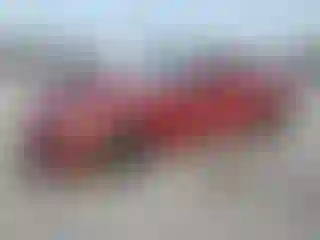 Vehicle Image- 2019 Ford Mustang