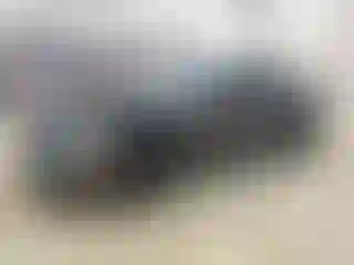 Vehicle Image- 2021 Ford Mustang