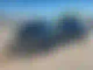 Vehicle Image- 2019 Ford Mustang