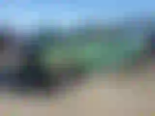 Vehicle Image- 2022 Ford Mustang