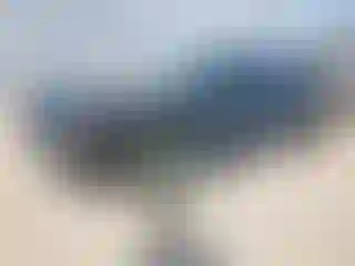 Vehicle Image- 2024 Ford Mustang