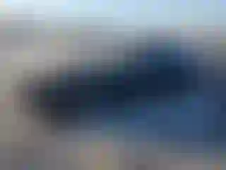 Vehicle Image- 2024 Ford Mustang