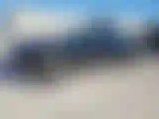 Vehicle Image- 2024 Ford Mustang