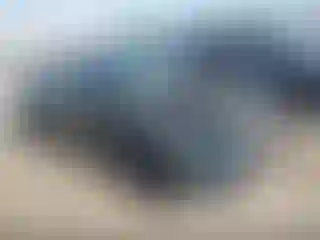 Vehicle Image- 2019 Ford Mustang