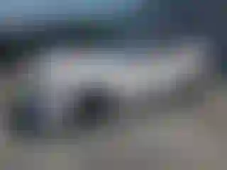 Vehicle Image- 2019 Ford Mustang