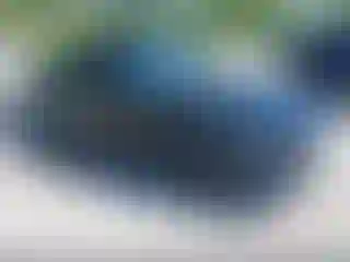 Vehicle Image- 2020 Ford Mustang