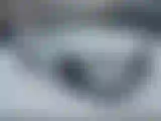Vehicle Image- 2020 Ford Mustang