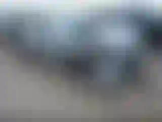 Vehicle Image- 2020 Ford Mustang