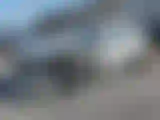 Vehicle Image- 2019 Ford Mustang
