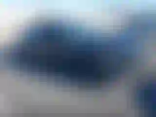 Vehicle Image- 2019 Ford Mustang